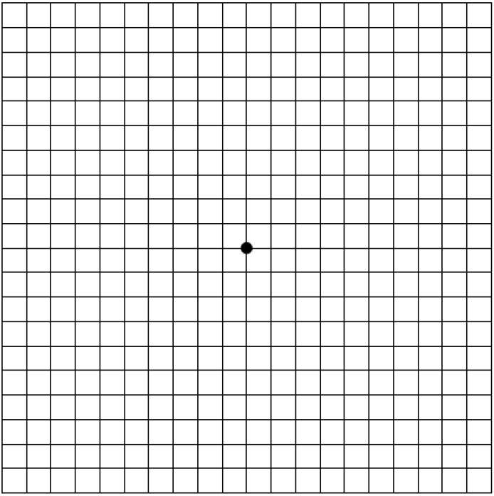 amsler grid
